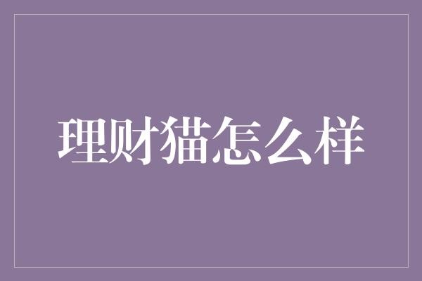 理财猫怎么样