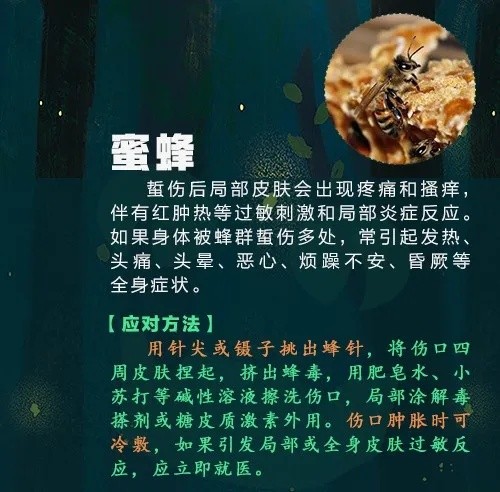 已到高发期，多人中招！曾有人因此丧命……