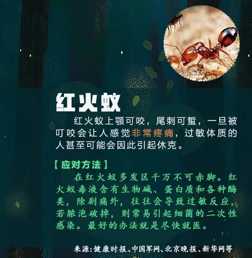 已到高发期，多人中招！曾有人因此丧命……