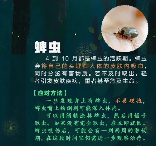 已到高发期，多人中招！曾有人因此丧命……