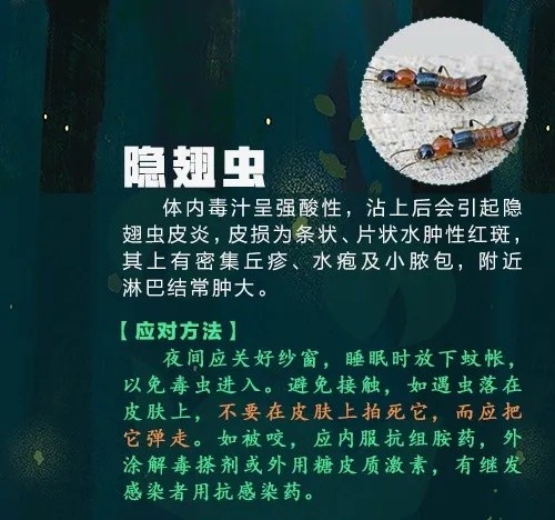 已到高发期，多人中招！曾有人因此丧命……