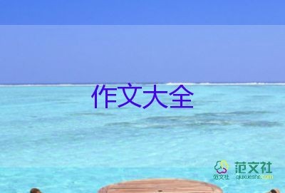 美与实用的作文7篇