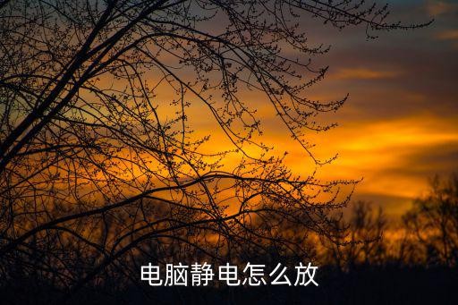 电脑静电怎么放