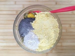 14种食材全天然自制狗粮的做法 步骤3