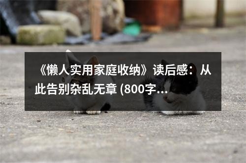 《懒人实用家庭收纳》读后感：从此告别杂乱无章 (800字)