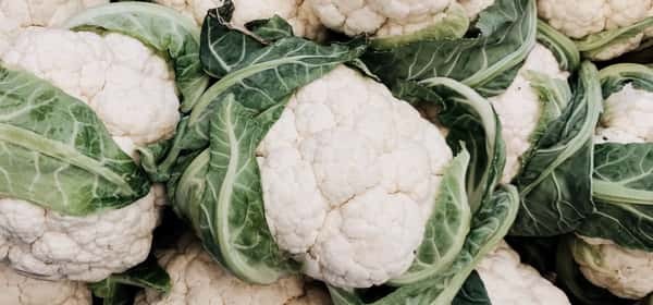 肾病患者的20种最佳食物