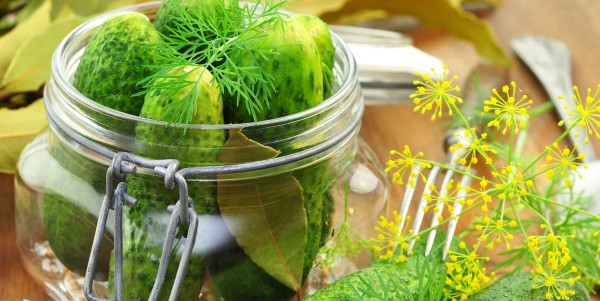 Receta saludable