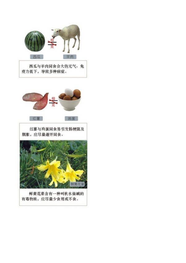 食物相生相克一览表.doc_第5页