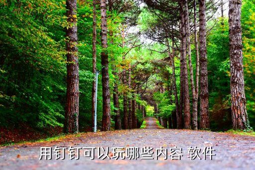 用钉钉可以玩哪些内容 软件