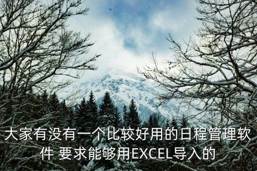 大家有没有一个比较好用的日程管理软件 要求能够用EXCEL导入的