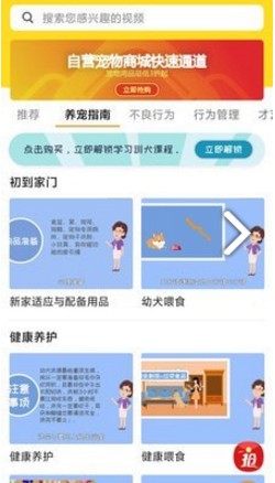 宠物训练社区