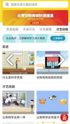 宠物训练社区