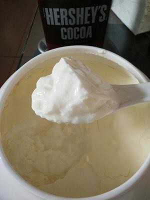 自制酸奶——超详细制作经验篇的做法 步骤4