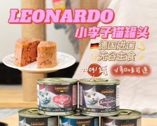 四个月猫咪的罐头饮食指南（营养均衡）