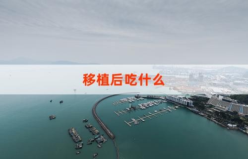 移植后吃什么