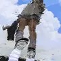 金鱼溺水了