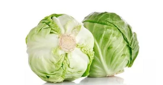 包心菜
