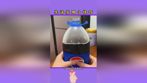 生活小妙招每日更新