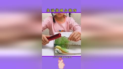 生活小妙招每日更新