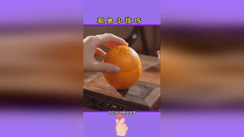 驱蚊小妙招，<a target=