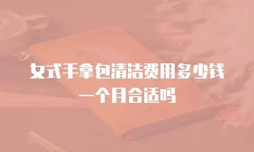 女式手拿包清洁费用多少钱一个月合适吗