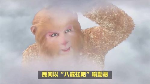 师徒四人西天路，经卷漫途属何生肖呢？