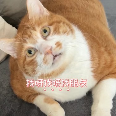 挑战自我，今日更胜昨日