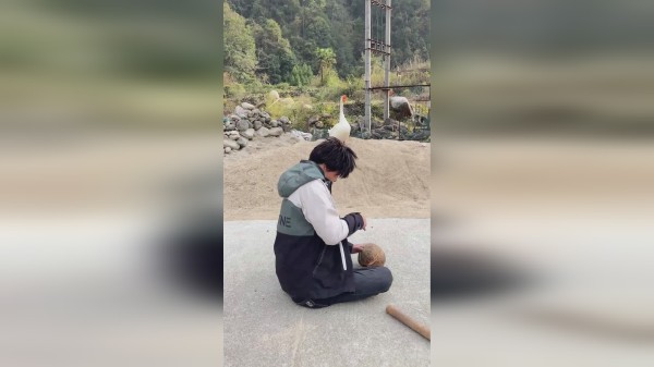 一招比一招厉害呀
