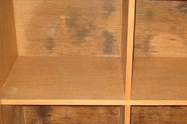  家具发霉用什么清洁比较好
