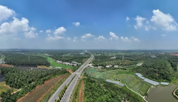 交通十年奋进，成就一路坦途！共青城市道路交通建设驶入高质量发展快车道