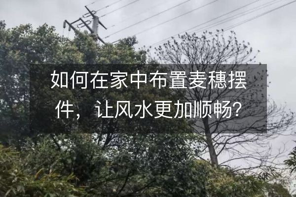 如何在家中布置麦穗摆件，让风水更加顺畅？