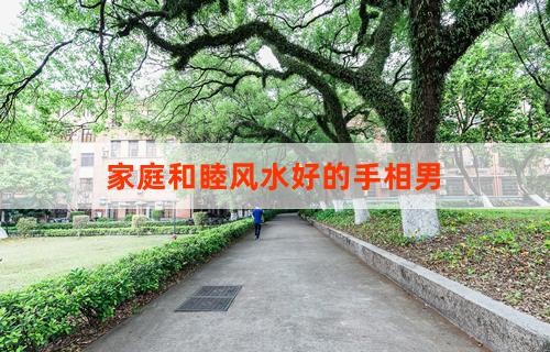 家庭和睦风水好的手相男