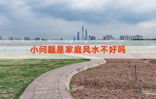 小问题是家庭风水不好吗