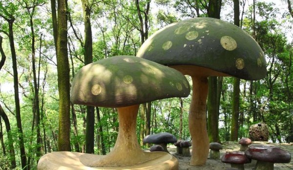 教你8个节能烹调法，将低碳生活进行到底，让人和生态和谐共存