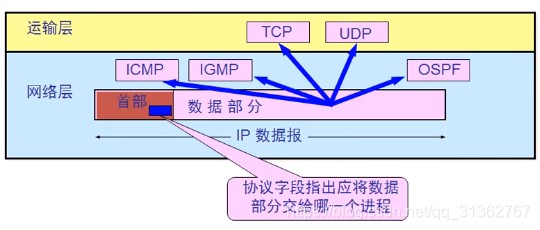 [外链图片转存失败(img-E3WN6PV5-1568533526302)(../../markdown_pic/4.IP数据报协议.png)]