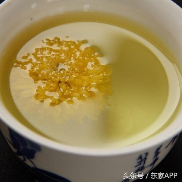 夏日冲饮品清单推荐，让你在夏天也愿意“多喝热水”