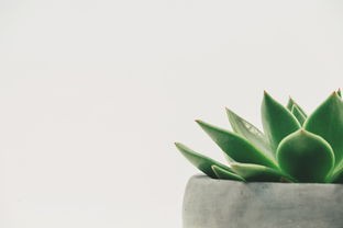 环保家具品牌排名，绿色生活的领跑者