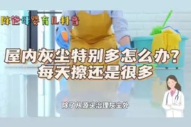 屋里灰尘特别多怎么办每天擦还是很多?陈爸分享母婴育儿小妙招视频封面