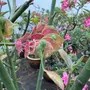 小王讲装修