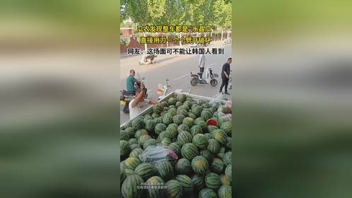 瓜农发现整车都是水晶瓜，直接用刀一个个劈开破坏