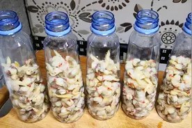喝完水的矿泉水瓶,放在厨房太实用了,家家都用得到,快试试吧图片
