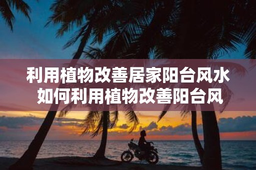 利用植物改善居家阳台风水 如何利用植物改善阳台风水