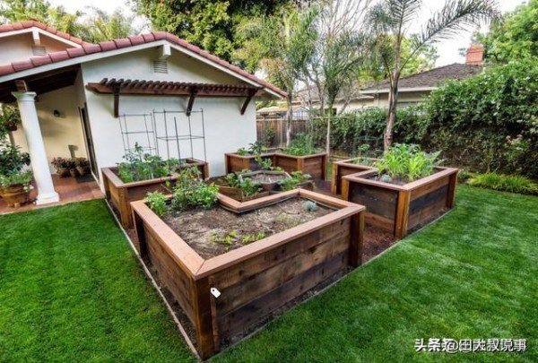 家庭菜园种植规划方案分享