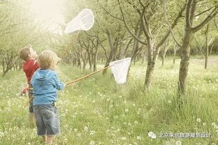 如何制定实用有效的旅行攻略？