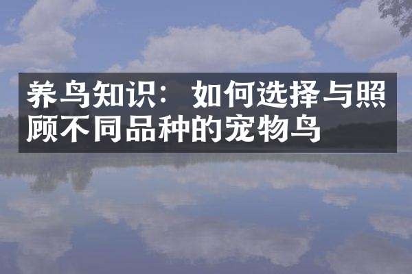 养鸟知识：如何选择与照顾不同品种的宠物鸟