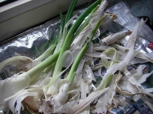 厨房剩余的垃圾千万别扔，这样做可以变废为宝
