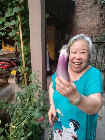 第三届零废弃日发起厨余堆肥行动,倡导健康环保生活方式
