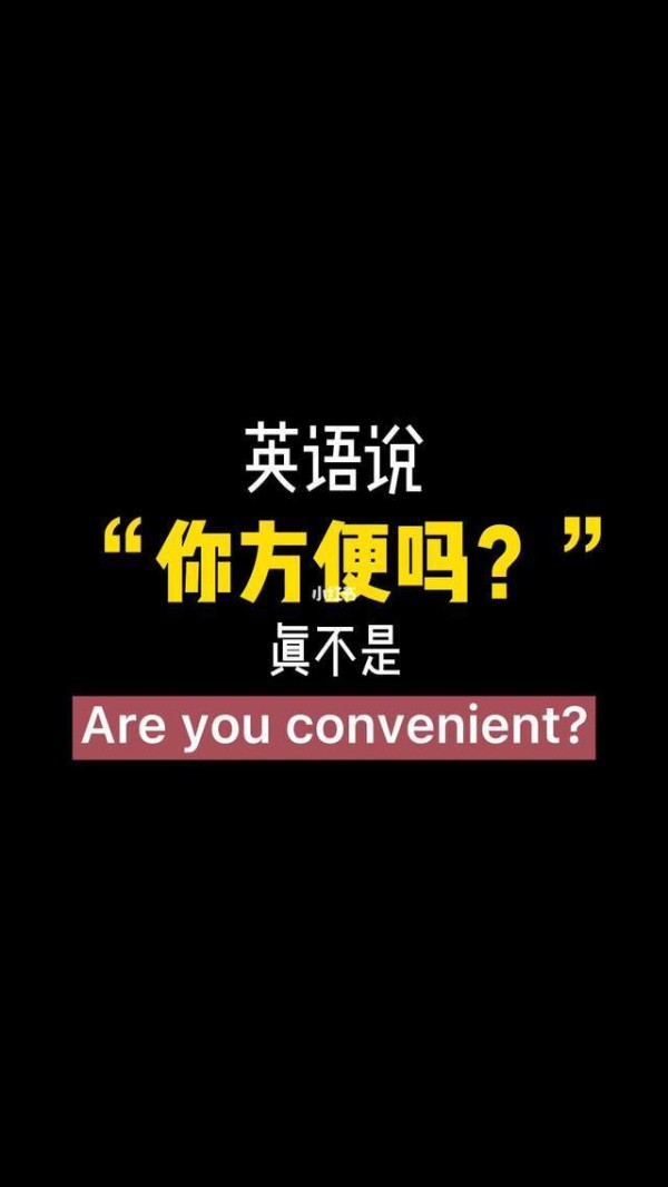 vehicle是什么意思啊了?