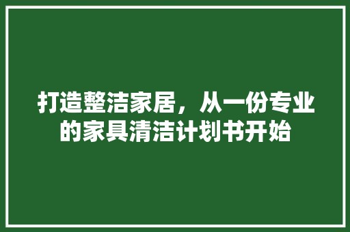 打造整洁家居，从一份专业的家具清洁计划书开始 申请书