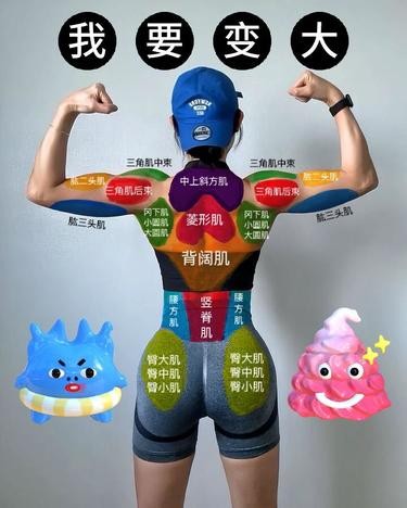 认识肌肉图解 让健身更容易